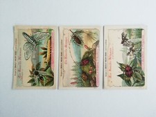 Ensemble 3 Chromos, Chocolat