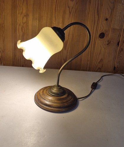 Lampe poser tulipe col de - poser,