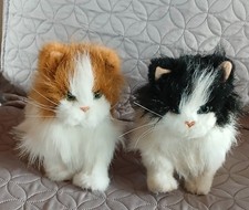 Peluche interactive CHATONS