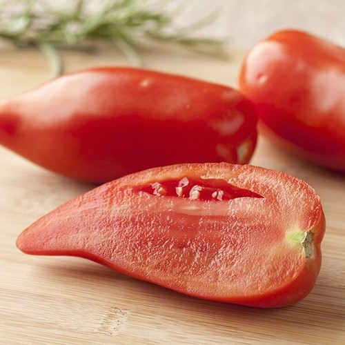 Lot graines de tomate - de,