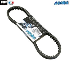 Courroie Renforcée Polini