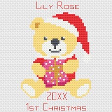 Kit De Broderie Au Point De