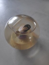 Notre Dame De Paris Esméralda