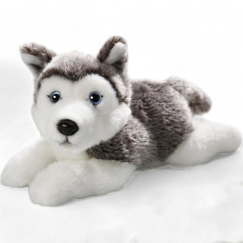 Carl dick husky chien - husky,