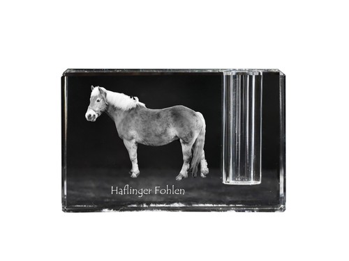 Haflinger fohlen porte - fohlen, porte-plume