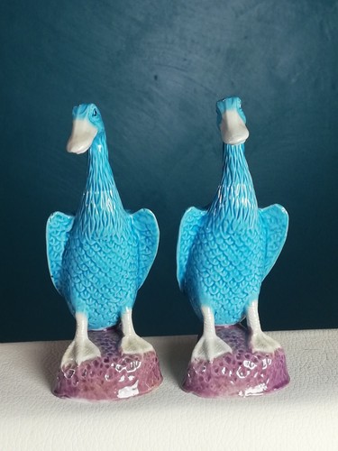 Paire oiseau cannard - d',