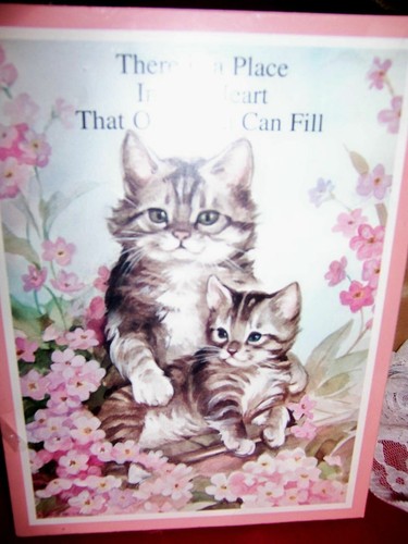 New cat lovers picture 6x8 - new, "cat