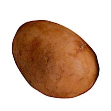 Patate En Marbre Peint à la Main Sculpture de Table Accueil Decor Slüfter Design