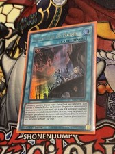 Yu-Gi-Oh ! Serviteur De Nadir
