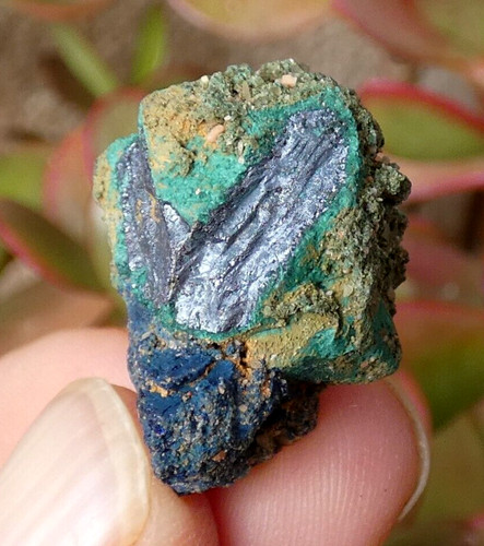 Rare covellite cuprite - rare,
