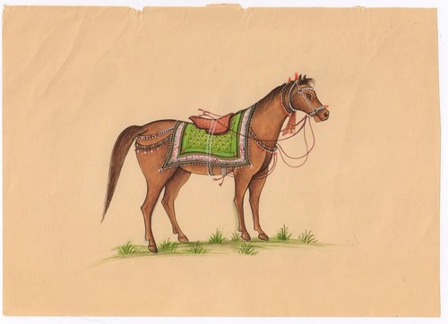 Indien royal cheval miniature - indien,