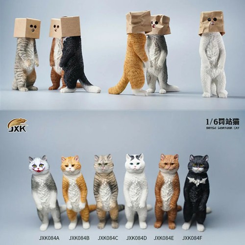 Jxk stand the - the, corner