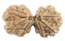 Super Collection Gauri Shankar