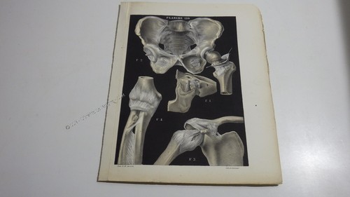 1850 lithographie couleur - 1850.lithographie,