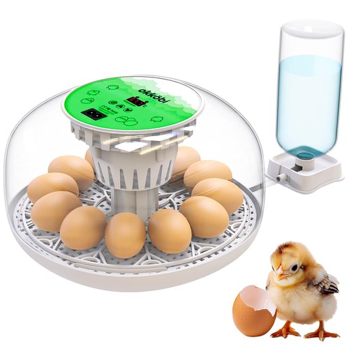 Couveuse incubateur oeuf - couveuse,