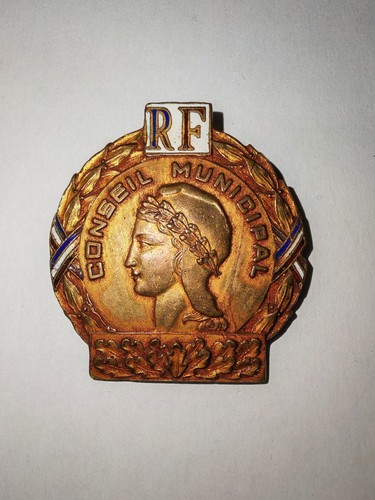 Rare jolis insigne fonction - rare,