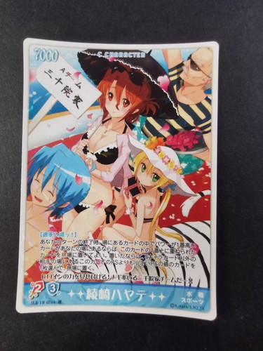 Hayate the combat bulter - the,