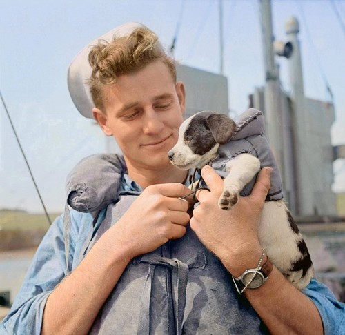 Ww2 navy usn - usn, omaha