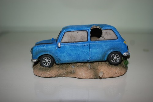 Aquarium mini cooper bleu - aquarium,