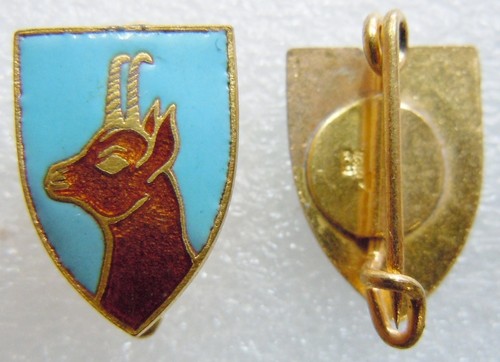 Insigne émaillé ancien ski - émaillé,