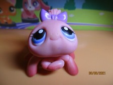 Petshop Araignée #258 Aimant