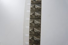 Documentaire CHAMPIONS DE NATATION - Pellicule 8 mm film cinéma vintage