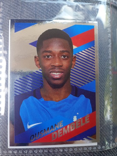 Sticker argent panini - argent,