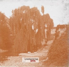 Saule pleureur, ruisseau
