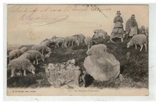 23 LA CREUSE #15650 BERGERES