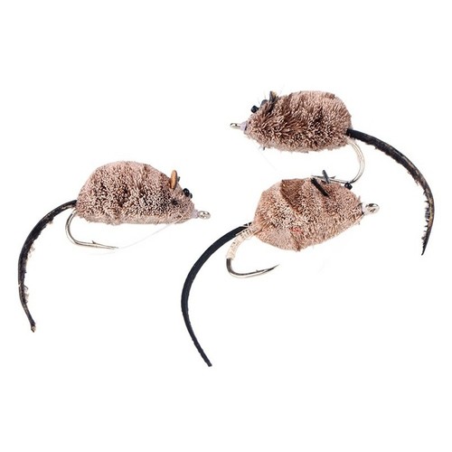 Blackfish pour bar brochet