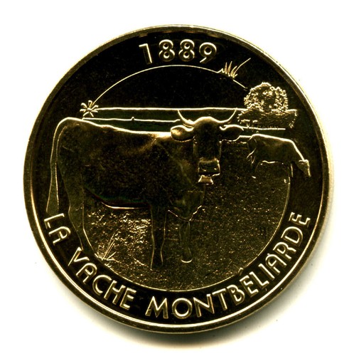 Montbeliard vache - 25,