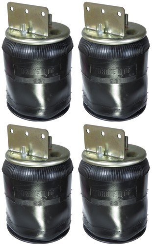Air spring bag for - bag,