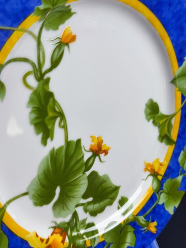 Assiettes plates hôtesse - 12,