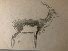Très Beau Dessin 1900 Crayon