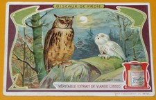 CHROMO 1906 LIEBIG SERIE 872