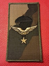 insigne écusson 1er RCP