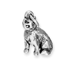 Charm Chat en Argent 925/1000