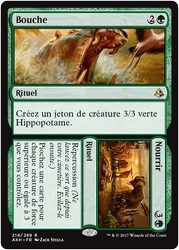 Mtg magic akh mouth - mouth, |
