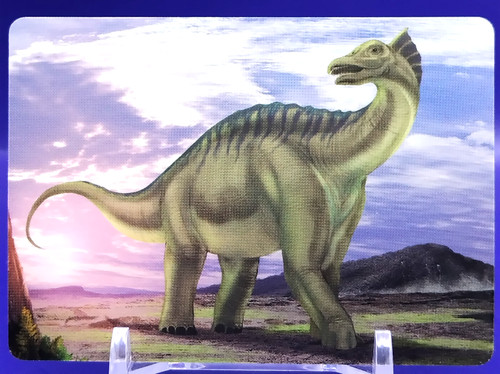 Cartes amargasaurus - cartes, /