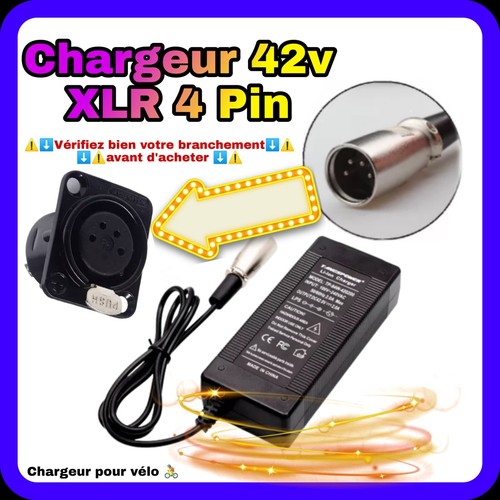 Chargeur 42v xlr - 42v, pour