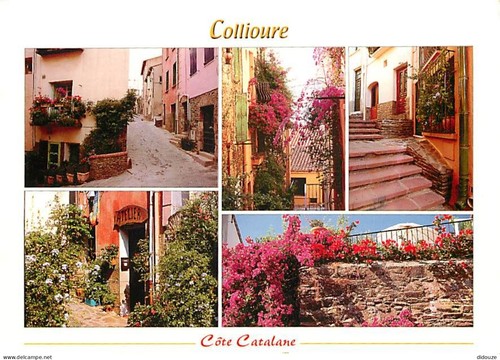 Carte postale collioure - postale,