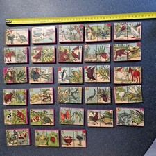 jeu 1920 DOMINOS ZOOLOGIQUES jouet ancien