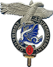 8° R.P.I.Ma, Commando Aguerrissement, tirage 2015, matriculé 499