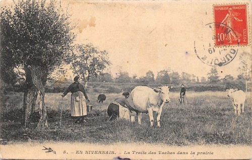 Traite des vaches en - des,