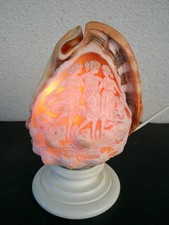 LAMPE VEILLEUSE COQUILLAGE