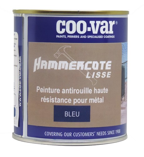 Coo var peinture métal - peinture,