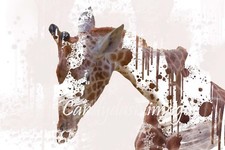 Impression photographique A4