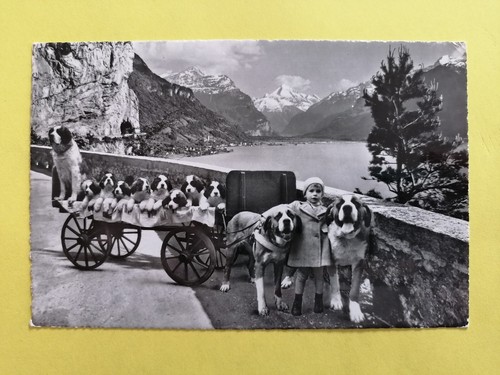 Cpsm suisse schweiz flüelen - suisse,