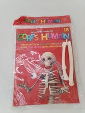 A La Découverte Du Corps