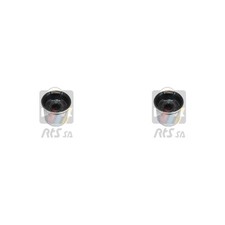 2x RTS Entreposage Bras Avant